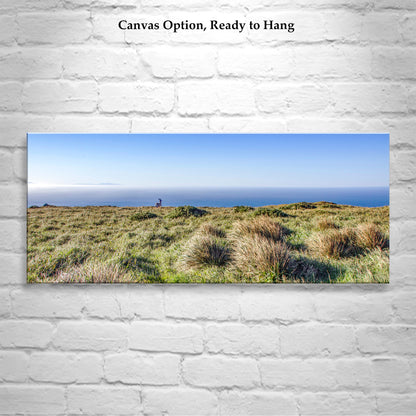 Painterly Art Print of Point Reyes National Seashore Landscape Panorama with Wild Deer (Copy)