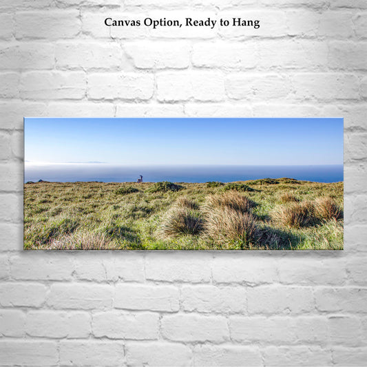 Painterly Art Print of Point Reyes National Seashore Landscape Panorama with Wild Deer (Copy)