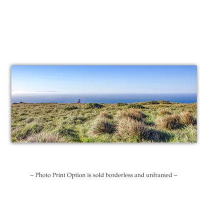 Painterly Art Print of Point Reyes National Seashore Landscape Panorama with Wild Deer (Copy)