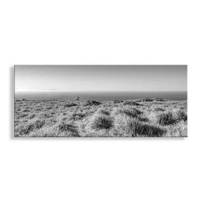 Painterly Art Print of Point Reyes National Seashore Landscape Panorama in Black and White with Wild Deer