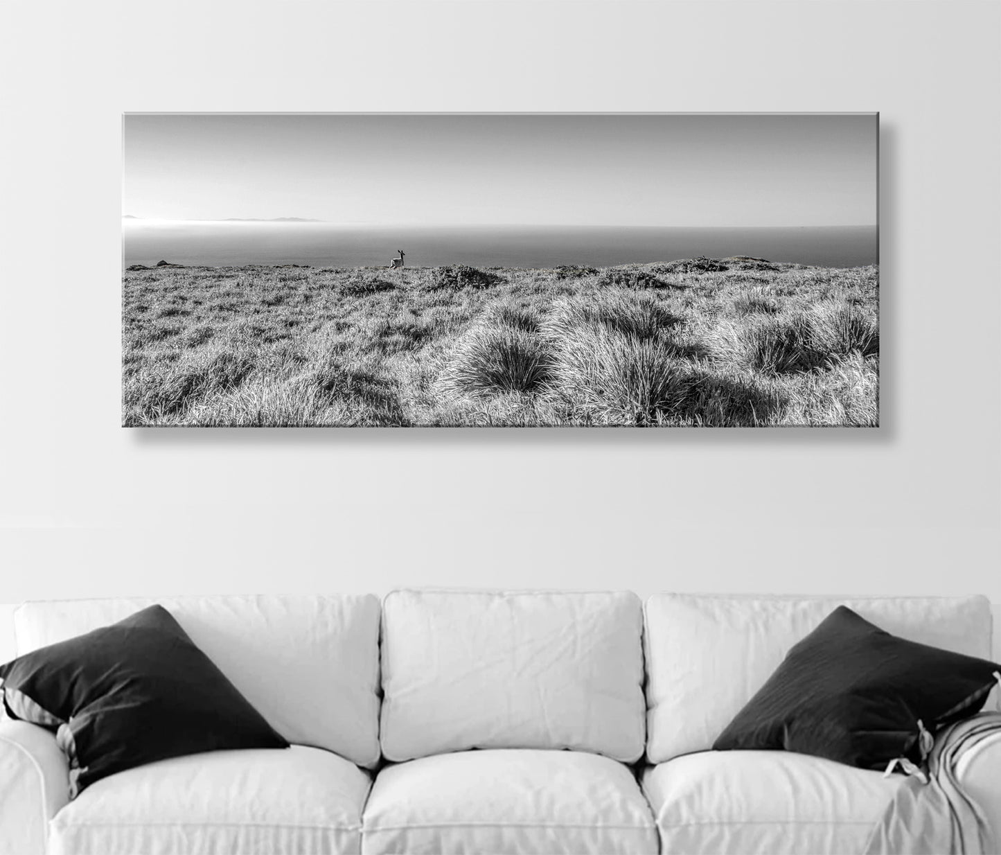 Painterly Art Print of Point Reyes National Seashore Landscape Panorama in Black and White with Wild Deer