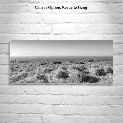 Painterly Art Print of Point Reyes National Seashore Landscape Panorama in Black and White with Wild Deer