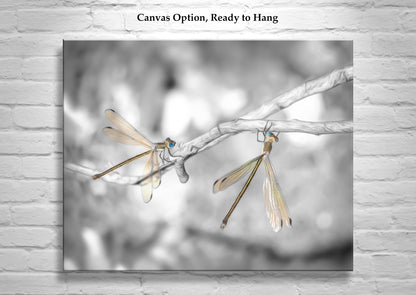 Dragonfly Photography Print in Black and White as Unique Art Gift