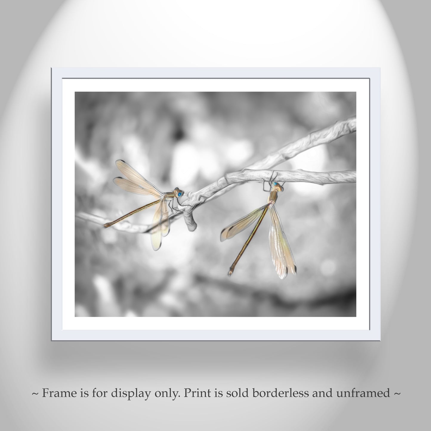 Dragonfly Photography Print in Black and White as Unique Art Gift