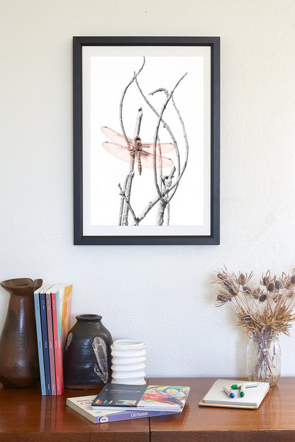 Dragonfly Art Print as Minimalist Nature Photography