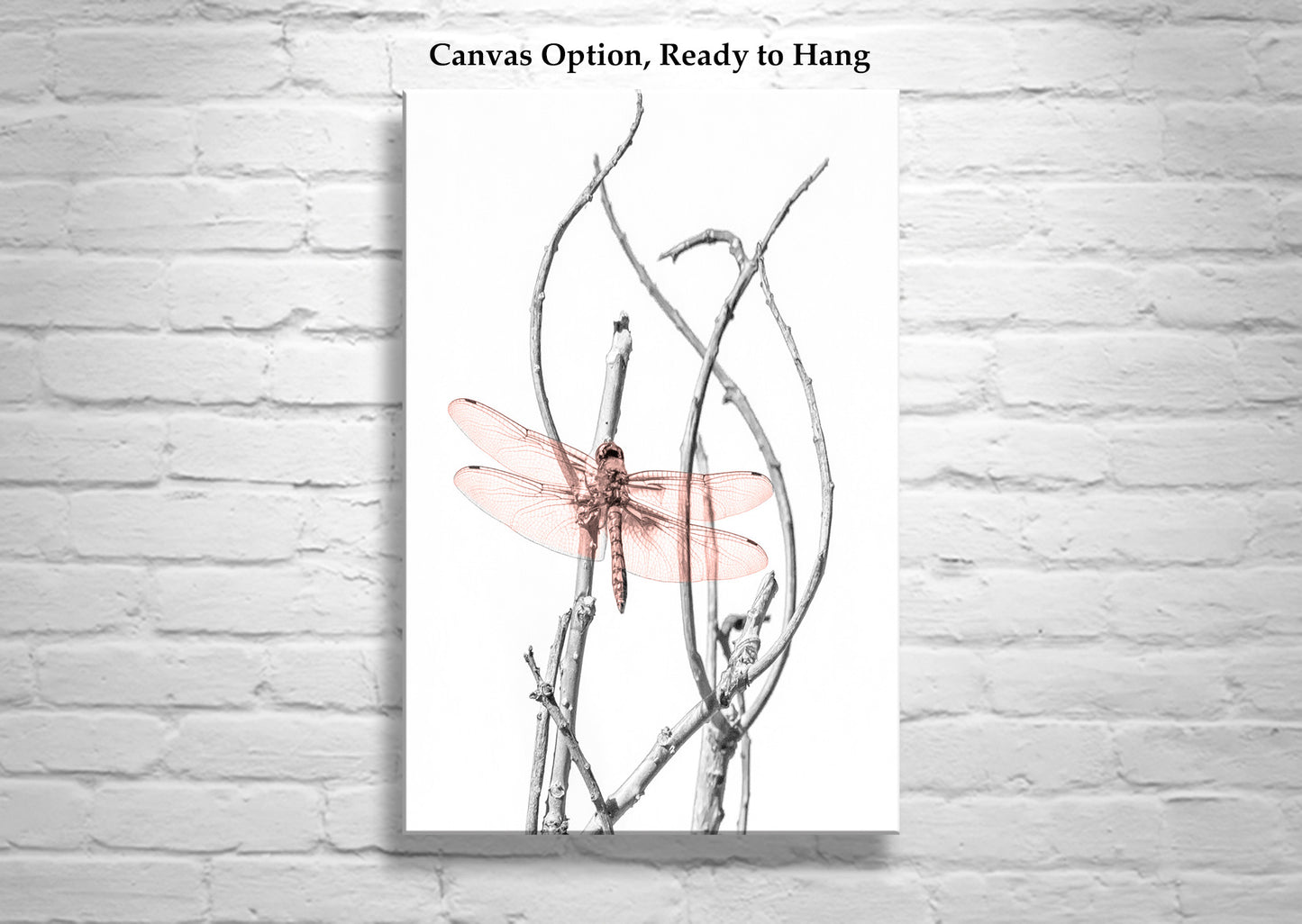 Dragonfly Art Print as Minimalist Nature Photography