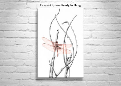 Dragonfly Art Print as Minimalist Nature Photography
