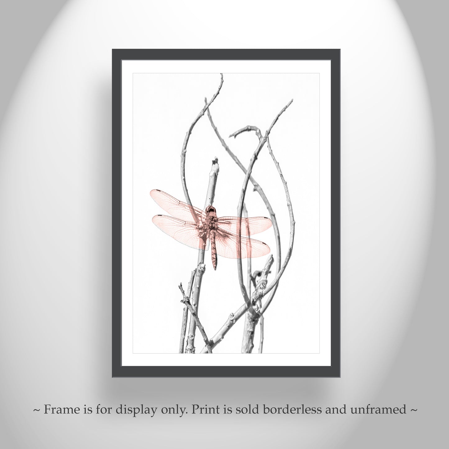 Dragonfly Art Print as Minimalist Nature Photography