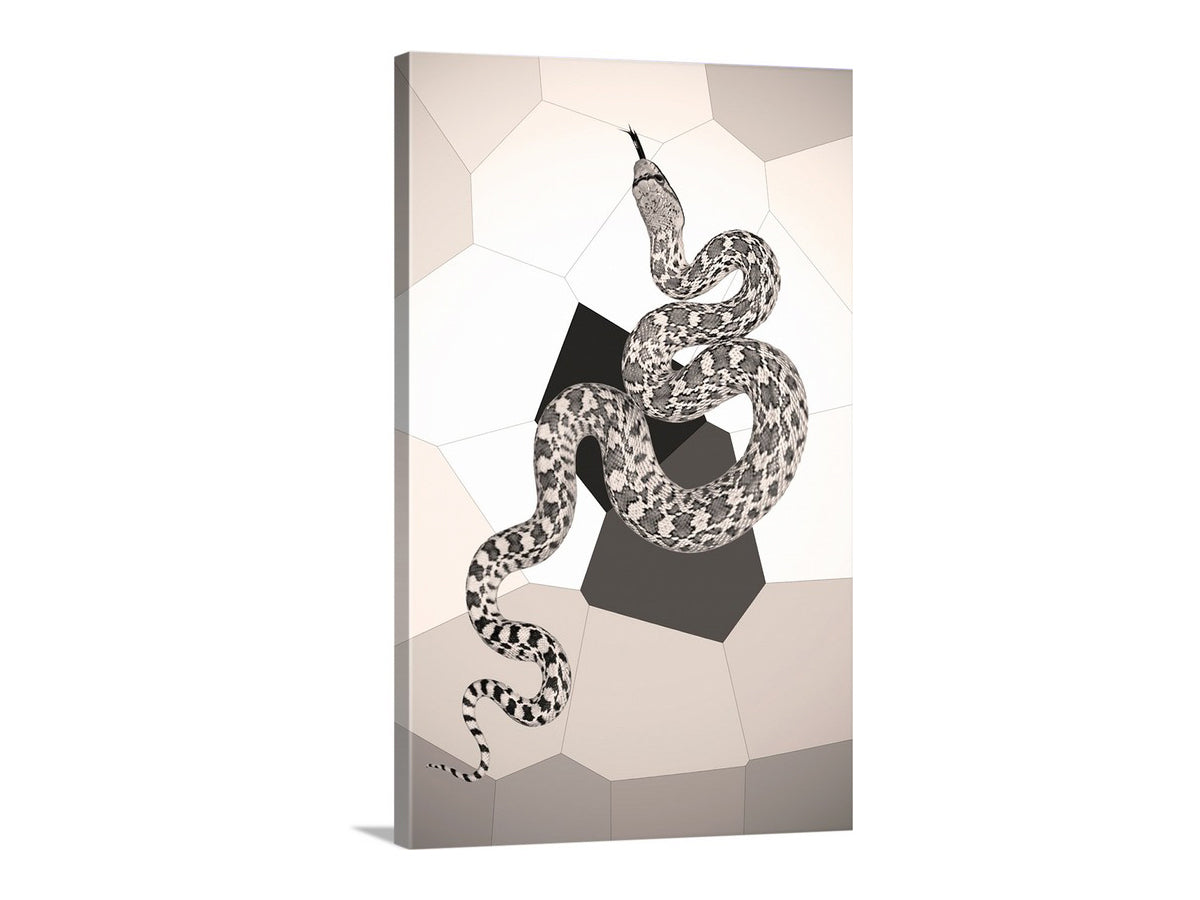 Canvas print with a stylized snake design on a geometric background. My cute reptile art for your walls: those who speak with forked tongue will have their picture taken! This is a common gopher snake captured on camera by me in the Mexico-Arizona borderlands.&nbsp; Original, unique signed art by Murray Bolesta.