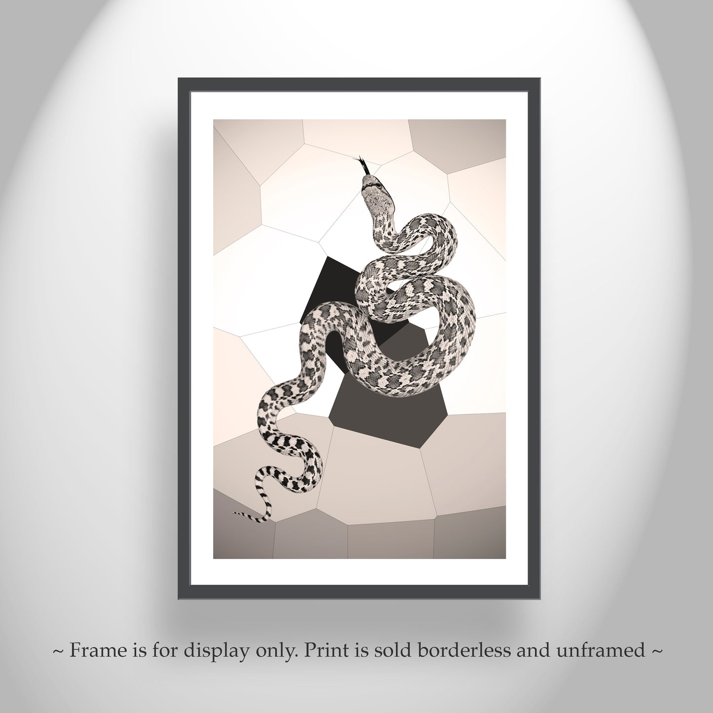 Snake Photograph in Abstract as Arizona Desert Reptile Art