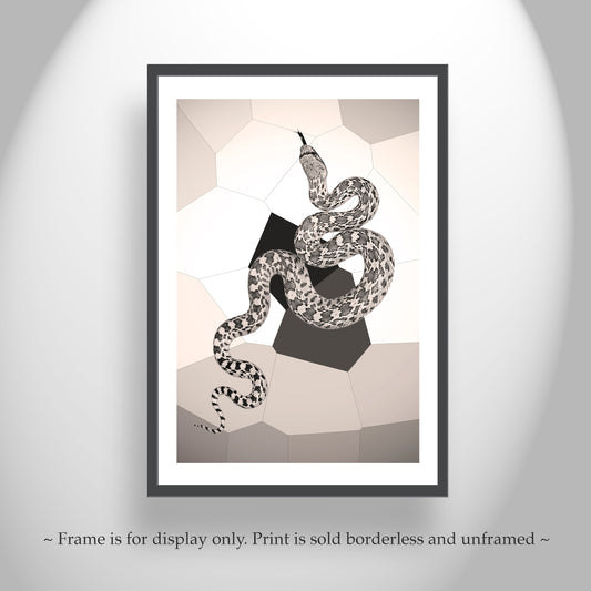 Snake Photograph in Abstract as Arizona Desert Reptile Art