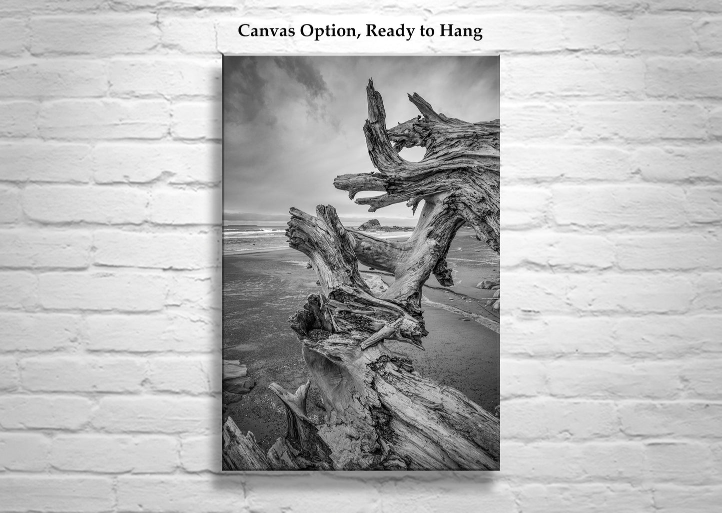 Washington State Beach Driftwood Art in Black and White | Pacific Northwest