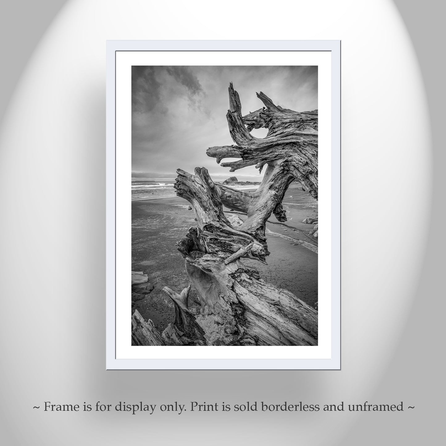 Washington State Beach Driftwood Art in Black and White | Pacific Northwest