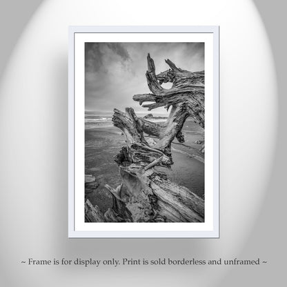 Washington State Beach Driftwood Art in Black and White | Pacific Northwest