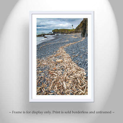 Oregon Lighthouse Art Print at Yaquina Head