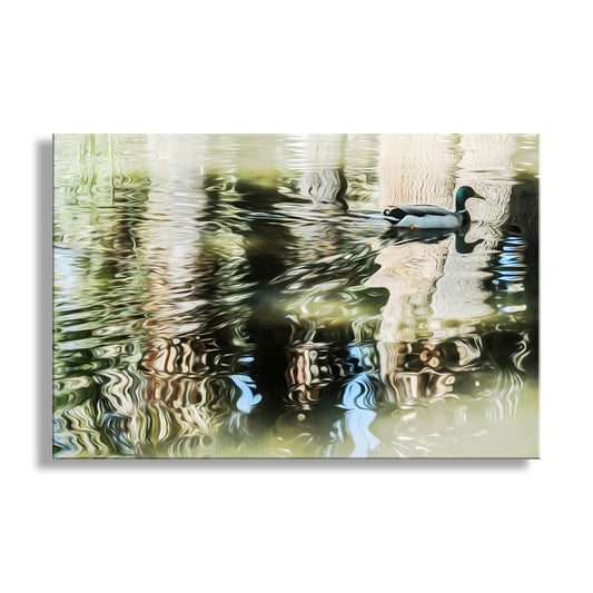 Tucson Agua Caliente Park Duck Pond Nature Art |Abstract Water Reflection