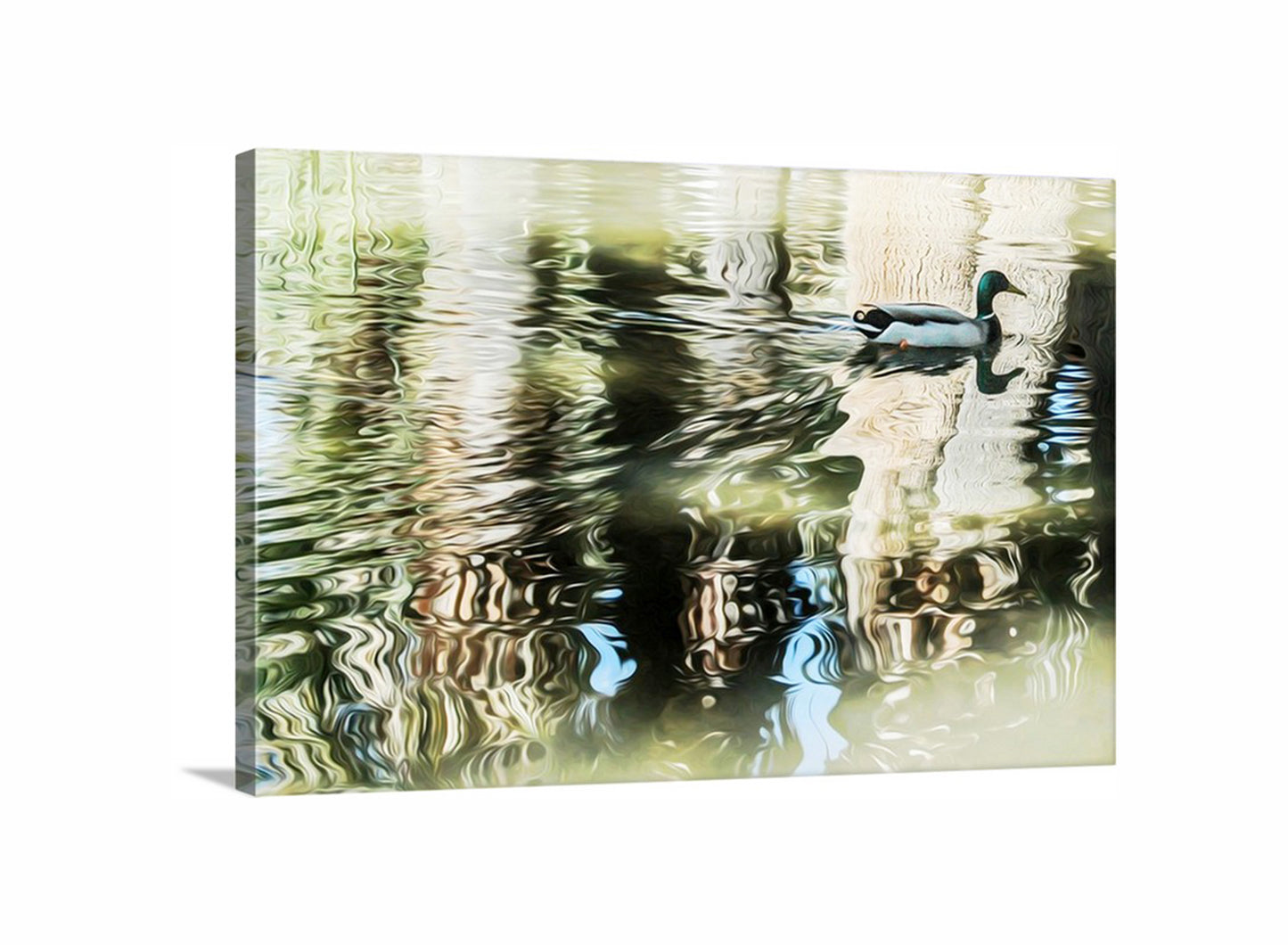 Tucson Agua Caliente Park Duck Pond Nature Art |Abstract Water Reflection