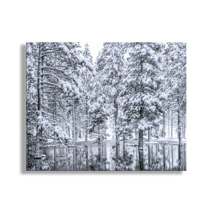 Water Bird Photograph in Winter Snowy Forest Landscape