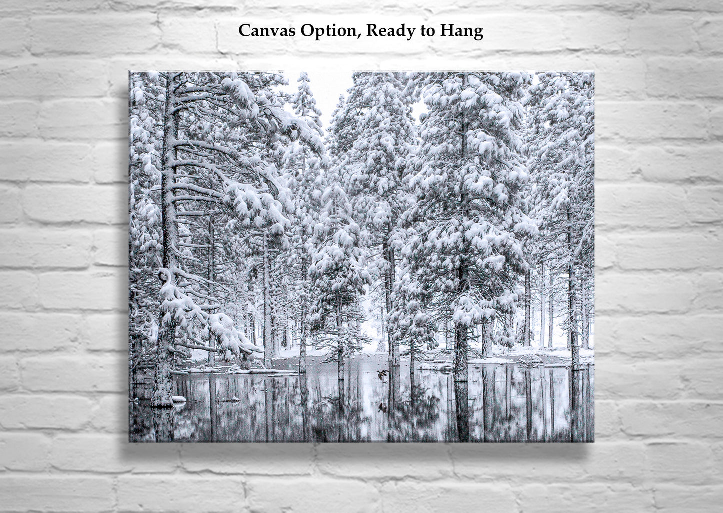 Water Bird Photograph in Winter Snowy Forest Landscape
