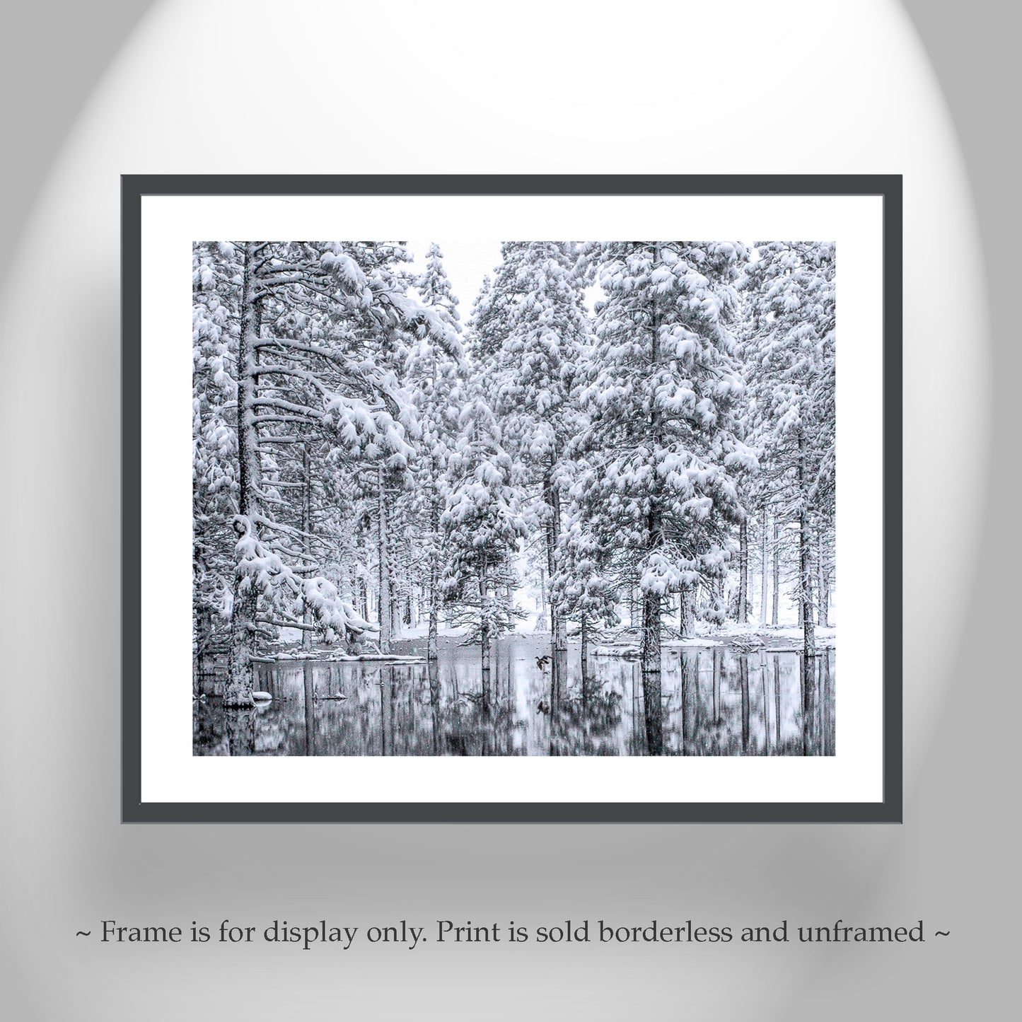 Water Bird Photograph in Winter Snowy Forest Landscape