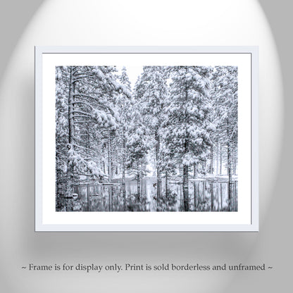 Water Bird Photograph in Winter Snowy Forest Landscape