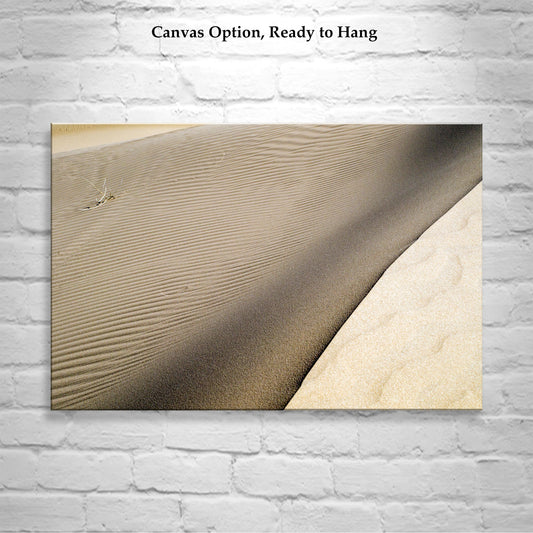 Desert Sand Dune Landscape Photography as Elegant Wall Decor