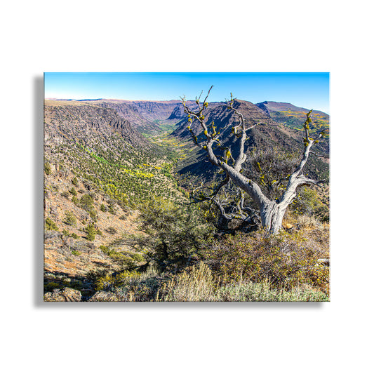 Beautiful eastern Oregon USA! This is Steens Mountain Wilderness in autumn with some artful deadwood in foreground. Terrific! Original, unique signed art by Murray Bolesta.