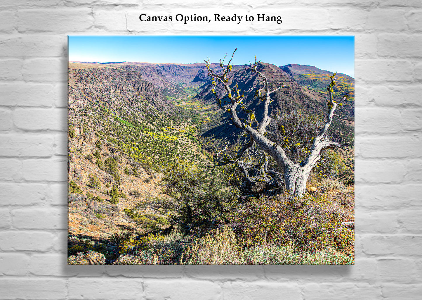 Steens Mountain Eastern Oregon Landscape Photography Print | Autumn Art