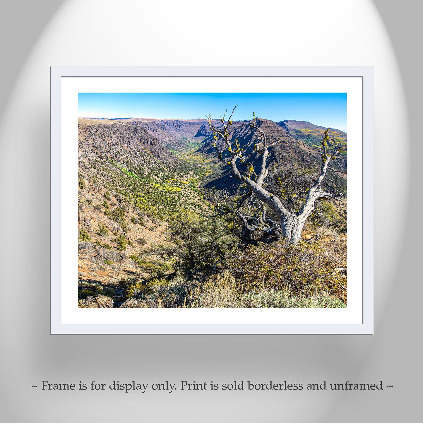 Steens Mountain Eastern Oregon Landscape Photography Print | Autumn Art