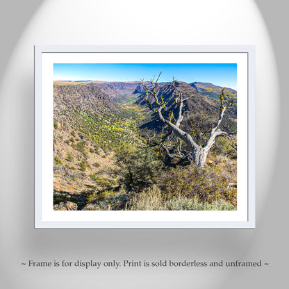 Steens Mountain Eastern Oregon Landscape Photography Print | Autumn Art