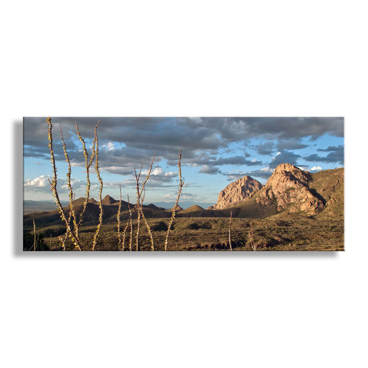 Desert Panoramic Art Print at Tucson Arizona by Murray Bolesta
