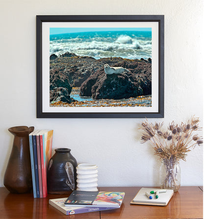 Elephant Seal Ocean Wildlife Art Print at San Simeon Beach California Coast
