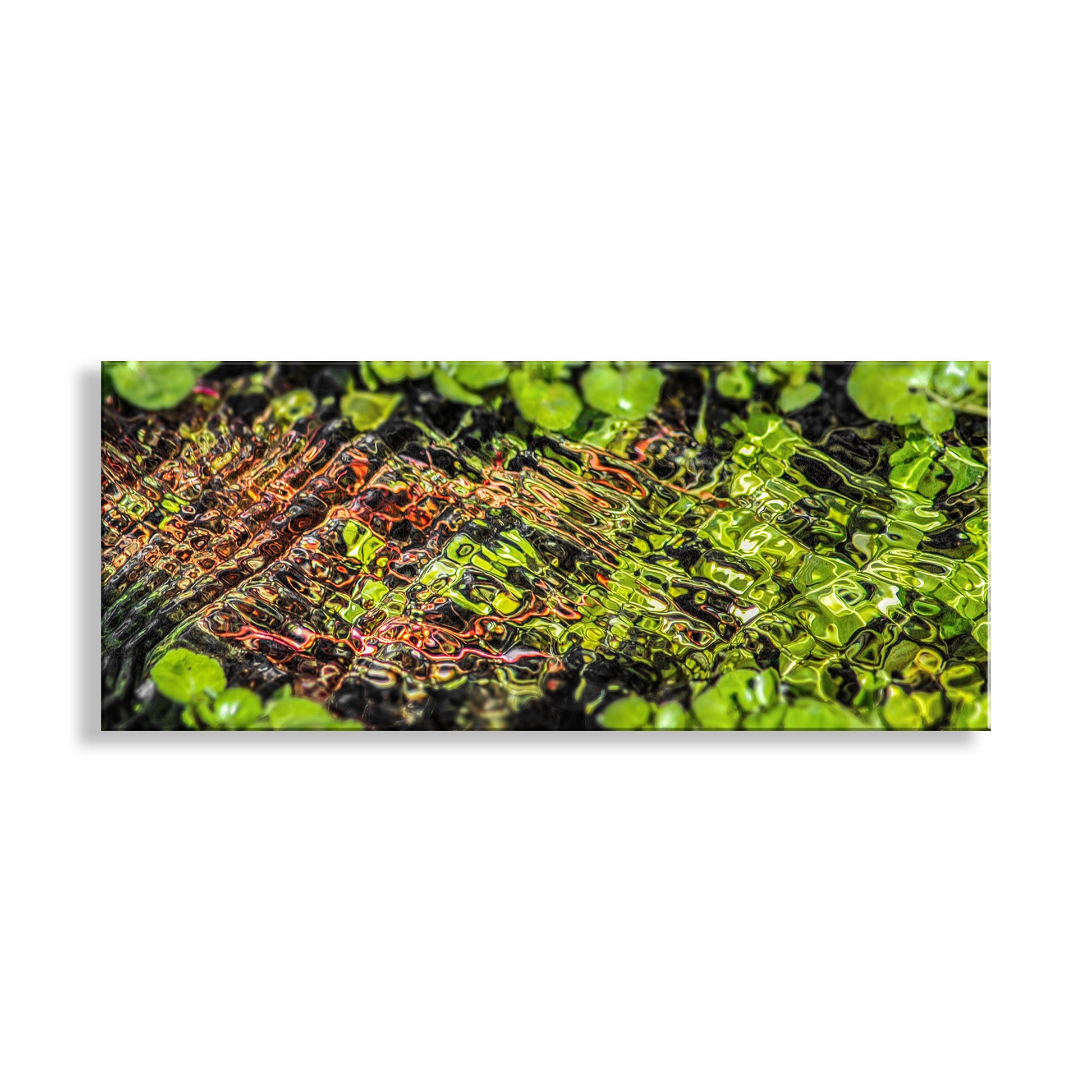 Empire Ranch Arizona Spring Water Nature Photography in Panorama