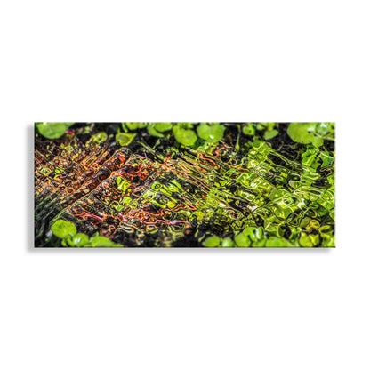 Empire Ranch Arizona Spring Water Nature Photography in Panorama