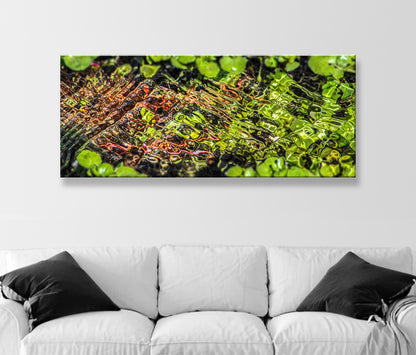 Empire Ranch Arizona Spring Water Nature Photo in Panorama