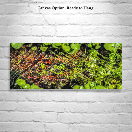 Empire Ranch Arizona Spring Water Nature Photo in Panorama