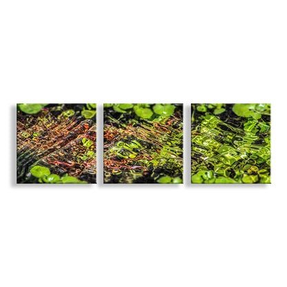 Water Ripples Art Empire Ranch Arizona | Square Nature Print Set