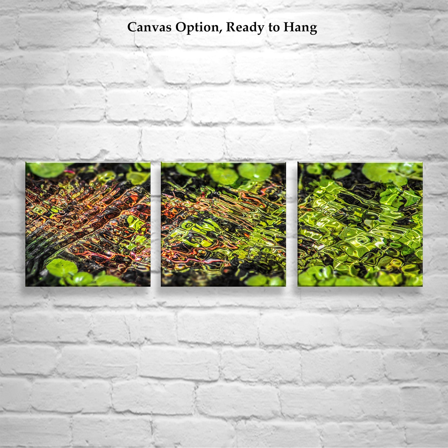 Water Ripples Art Empire Ranch Arizona | Square Nature Print Set