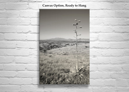 Empire Ranch Arizona Landscape Art Print | Cienega Valley, Agave & Santa Rita Mountains