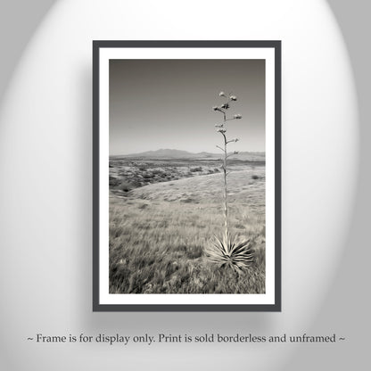 Empire Ranch Arizona Landscape Art Print | Cienega Valley, Agave & Santa Rita Mountains