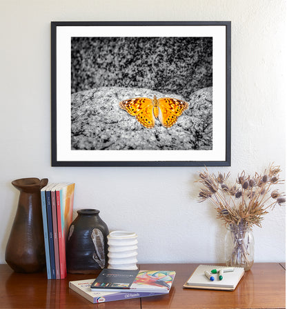 Golden Butterfly Nature Print Wall Decor in Arizona Desert Canyon