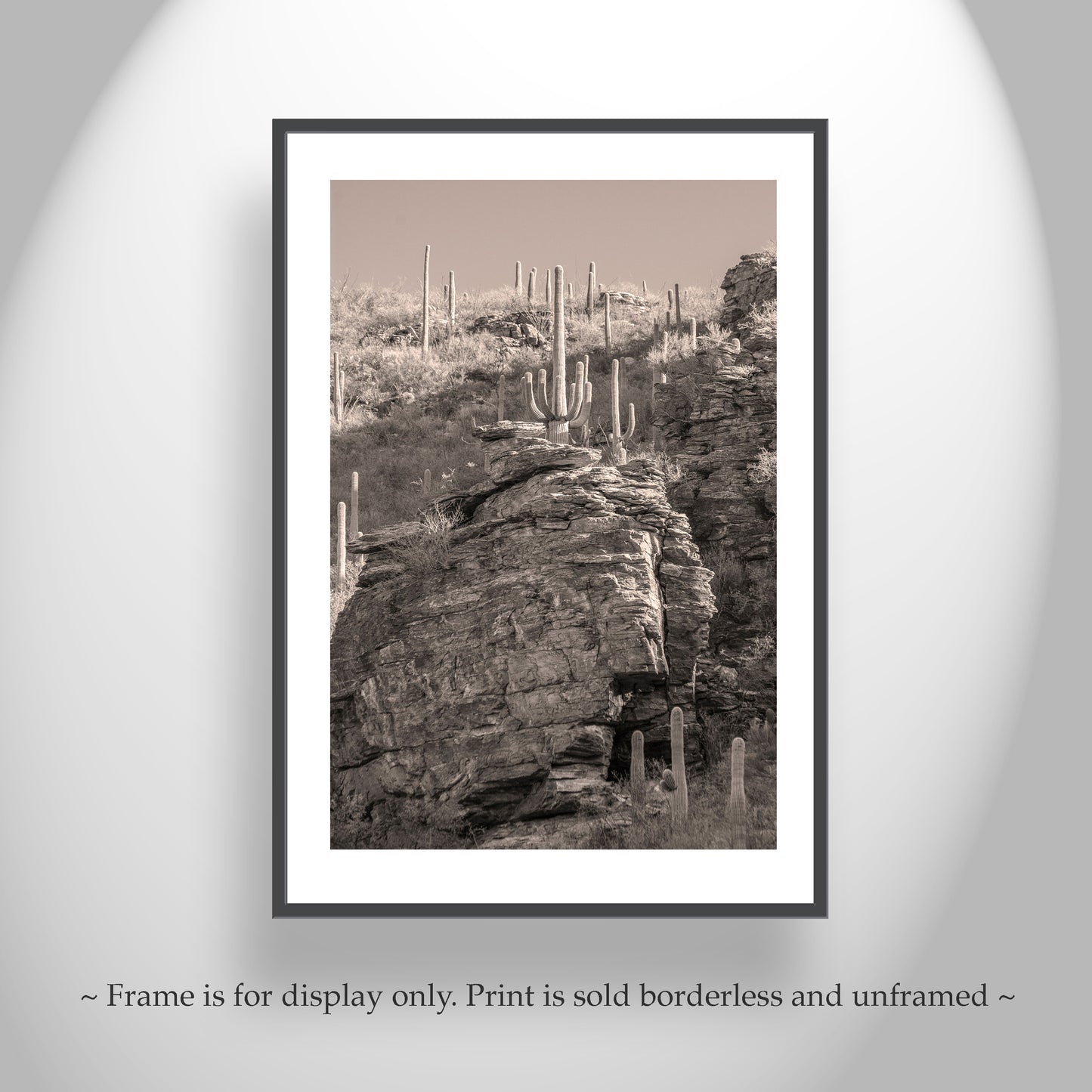Tucson Desert Framed Photo Wall Art with Canyon Landscape