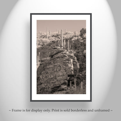 Tucson Desert Framed Photo Wall Art with Canyon Landscape
