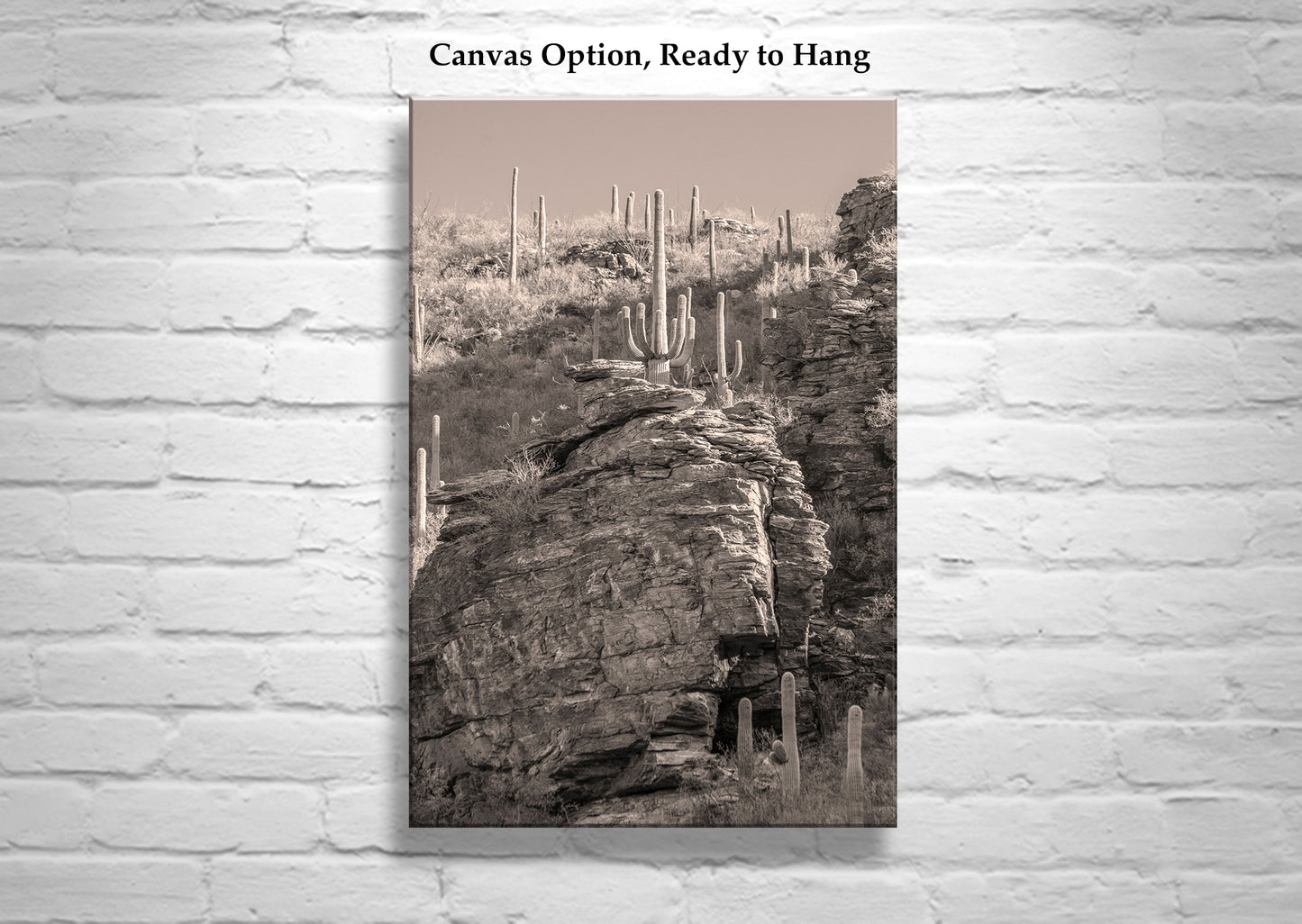 Tucson Desert Framed Photo Wall Art with Canyon Landscape