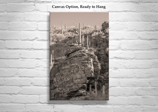 Tucson Desert Framed Photo Wall Art with Canyon Landscape