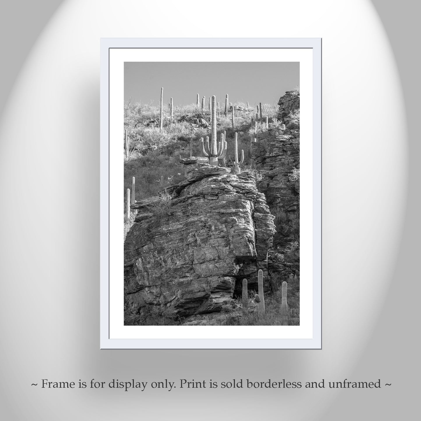 Tucson Desert Framed Photo Wall Art with Canyon Landscape