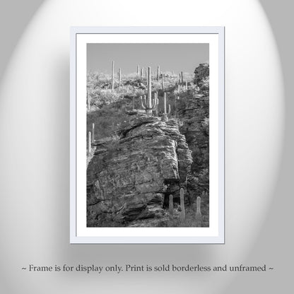 Tucson Desert Framed Photo Wall Art with Canyon Landscape