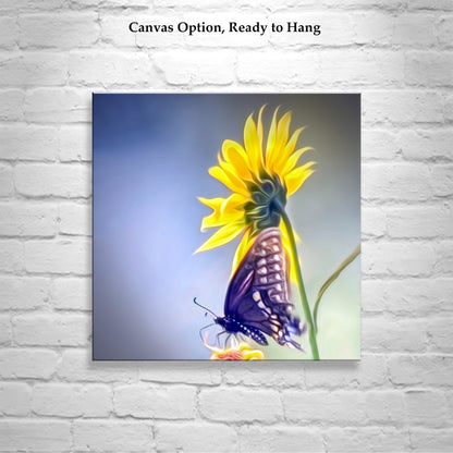 Sunflower Photograph with Swallowtail Butterfly in Southern AZ