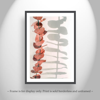 Minimalist Botanical Art in Red and White with Eucalyptus Leaves