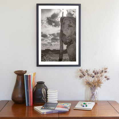 Tucson Cactus Landscape | Ironwood Forest Arizona Sepia Wall Art Print